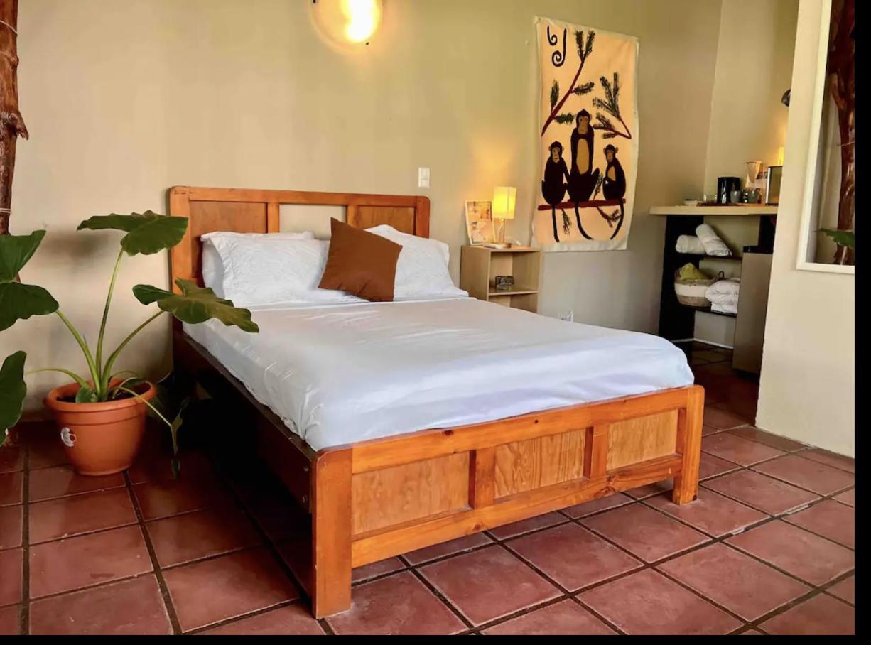 Mizaru Ocean View Hotel Manuel Antonio Кепос Экстерьер фото