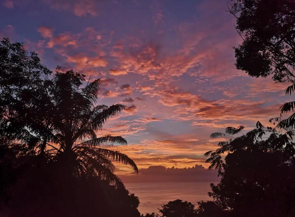 Mizaru Ocean View Hotel Manuel Antonio Кепос Экстерьер фото